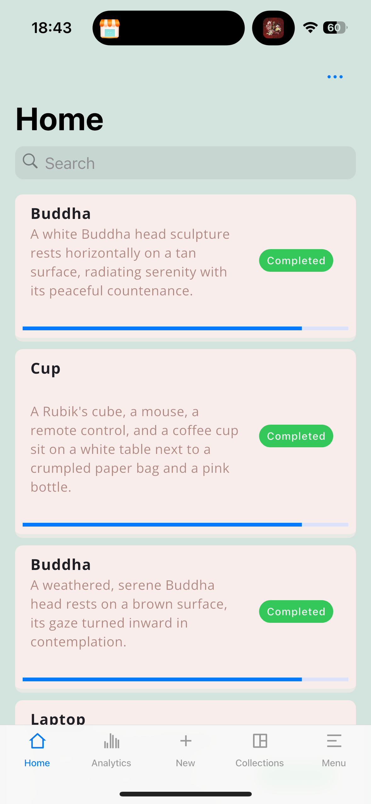 App screenshot 1